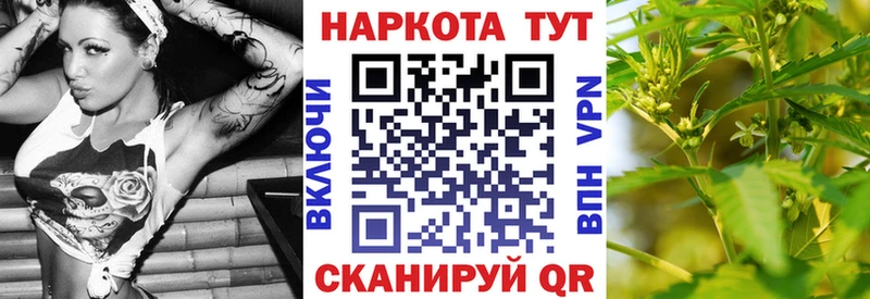 Что такое Всеволожск Альфа ПВП  Гашиш  Кокаин 