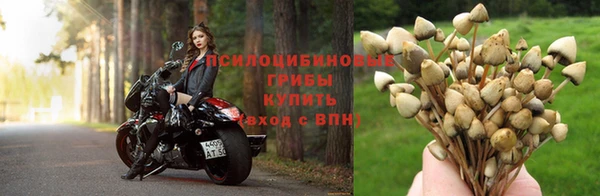 Альфа ПВП Верея
