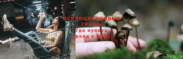 прущая мука Верхний Тагил