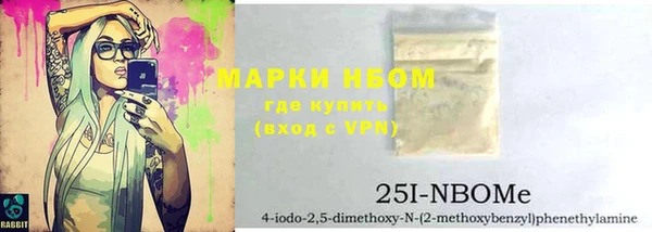 шишки Кострома
