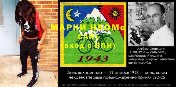 Альфа ПВП Верея