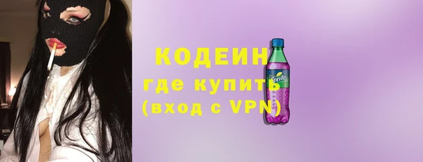 шишки Кострома