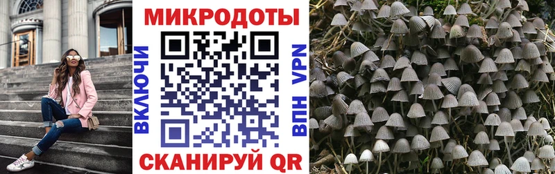 где найти   Всеволожск  Псилоцибиновые грибы прущие грибы 